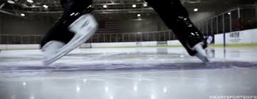 Here, i was able to chip and get around. Nhl Gifs Wattpad