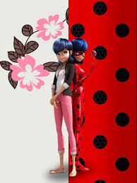 Pin On Miraculous Ladybug