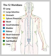 73 Extraordinary Shiatsu Massage Chart