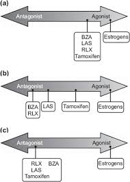 Image result for Selective Estrogen Receptor Modulator