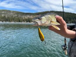 Sophia Bianco EroMe-cada detalhe uma provocação