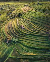 Instagenic 7 Wisata Terasering Di Indonesia Ini Wajib Kamu Jelajahi
