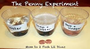The Penny Experiment From Mom To 2 Posh Lil Divas Science Experiments Kids Science For Kids Kindergarten Science