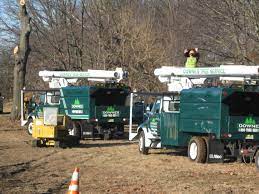 Downes Tree Service Construction Information Systems