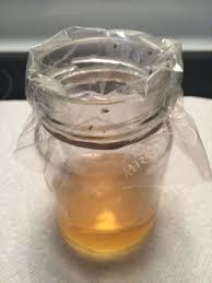 Simple Fruit Fly Catcher Apple Cider Vinegar Ziplock Bag With End Snipped Glass Jar Rubber Band Fruit Fly Catcher Jar Glass Jars