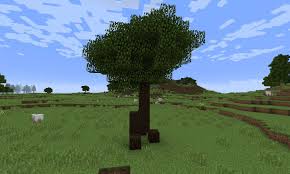 Small Changes To Swamp Trees - Suggestions - Minecraft: Java Edition -  Minecraft Forum - Minecraft Forum