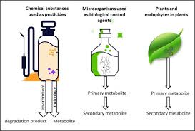 Contracts may be necessary in some situations such as warehouses that receive crates often infested with cockroaches. Sense And Nonsense Of The Secondary Metabolites Data Requirements In The Eu For Beneficial Microbial Control Agents Sciencedirect