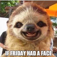 Pin By Katy Alexander On Happy Friday Happy Animals Cute Sloth Smiling Animals
