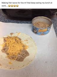 We did not find results for: Making Fish Tacos For The Mf That Keep Eating My Lunch At Friskies Shreds Best Way To Catch A Thief Reddit Meme On Me Me