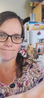 Pet Chicken with Cross Beak Needs New Home in Wenatchee Valley