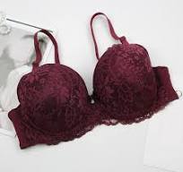 Fashion Female Sexy Lace Printed Coloured Bra Elastic Underwear