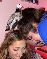 Taylor Repine's Instagram, Twitter & Facebook