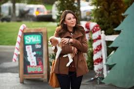 Holly, ivy and mistletoe christmas and winter greenery background. Holly Ivy Tv Movie 2020 Imdb