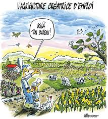 L'amour est dans le pré. Edition L Humour Est Dans Les Pres