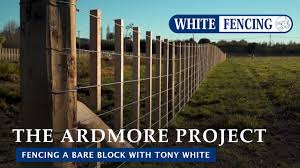 Check spelling or type a new query. Frameless Glass Pool Fencing In Perth Jm Fencing