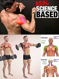 Shoulder Exercise Real Science Based Shoulder Workout Abs Workout Program Workout Programs