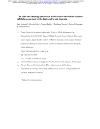 Image result for Flabellariopsis acuminata