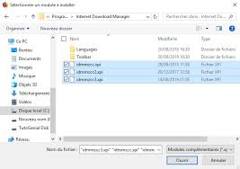 Internet download manager n'est plus un logiciel à présenter, c'est le gestionnaire de téléchargement le plus populaire sur pc windows. Integration Du Module Idm Sur Chrome Firefox Opera Edge