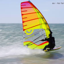 Windsurf: Local legends
