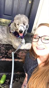 Reliable dog walker needed in Brentwood/Antioch area