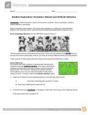 Student exploration natural selection answer. Student Exploration Evolution Natural And Artificial Selection Answer Key Student Exploration Evolution Natural And Artificial Course Hero
