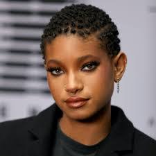 Willow Smith's Instagram, Twitter & Facebook