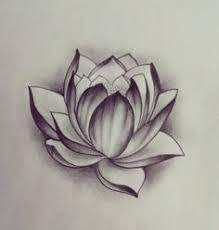Risultati Immagini Per Realistic Lotus Flower Drawings Lotus Tattoo Design Lotus Flower Drawing Lotus Tattoo