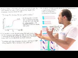 Examining The Effects Of Cholesterol On Model Membranes At High Temperatures:  Laurdan And Patman See It Differently - Sciencedirect