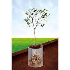 Est il toujours possible de placer cette barrière anti rhizome? Votre Barriere Anti Racine Et Anti Rhizome 70 Cm Speciale Bambou