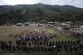 Argelia cauca continua bajo el decreto 127 del 9 de noviembre de 2020, que establece ley seca y toque de queda en todo el territorio municipal. Temor En Argelia Cauca Por El Hallazgo De Siete Cadaveres Noticiero Universal