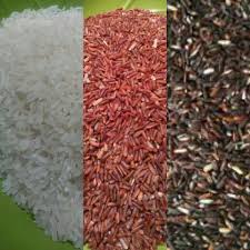 Pergerakan harga beras sangat terjaga dan cadangan beras di bulog masih cukup. Jual Beras Organik No 1 081233775272 Mlatiharjo Pusat Beras Organik