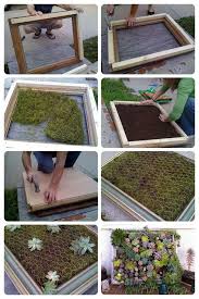 Comment Construire Un Tableau Vegetal De Succulentes Un Cadre Vegetal Diy Pour L Interieur Auss Mur Vegetal Exterieur Amenagement Jardin Interieur Mur Vegetal