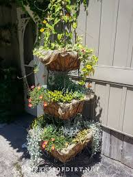Container theme gardens offers 42 plans for container arrangements, each using just five specific plants that you can find at your local garden center. 40 Unique Container Gardening Ideas Empress Of Dirt