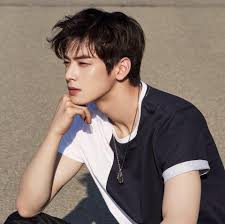 He also had a lead role on a small web drama called my romantic some recipe and another called to be continued. Astro Cha Eunwoo Turkey Home Facebook