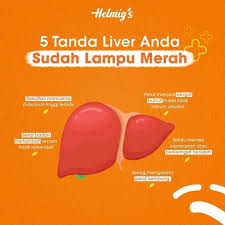 My roomie is a dino. Media 90 1 Fm Lampu Merah Itu Artinya Bukan Berhenti Facebook