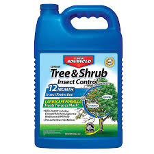 Bayer advanced 3 in 1 insect & disease control. Bayer Advanced Tree And Shrub Insect Control Landscape Formula Concentrate 1 Gal