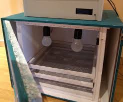 A bowl and sponge to hold water and keep humidity at the right level. Lewekas A Homemade Incubator 15 Steps With Pictures Instructables