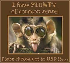 Our collection includes funny inspirational and motivational quotations said by some famous people and others. Pin By Cindy Howell On Lol Monkeys Funny Funny Animal Pictures Funny Animals