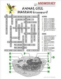 Check spelling or type a new query. Animal Cell Crossword With Diagram Printable Distance Learning Options