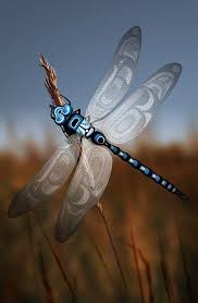 Andy Everson Montecristo Native Art Pacific Northwest Art Haida Art