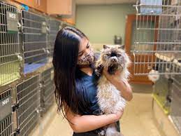 Maybe you would like to learn more about one of these? Hours Service Updates Pasadena Humane