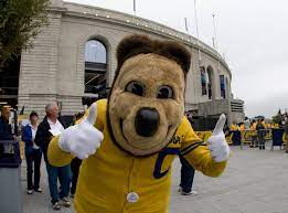 Pin By University Of California Golde On The Oski Tradition Bear High Five Future Travel