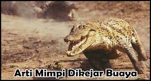 Jadi, anda mimpi bertemu gajahmada?. 20 Arti Mimpi Dikejar Buaya Yang Harus Anda Ketahui
