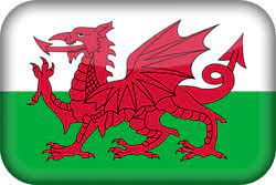 Vatican city flag png clip art. Welsh Flag Icon Country Flags