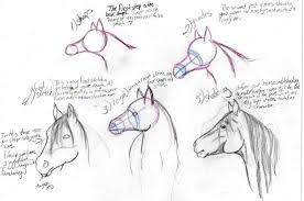Pin By Christina Walker On Me Trying To Be Artistic Horse Drawing Tutorial Horse Drawing Easy Horse Drawing
