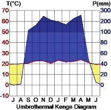 Image result for Dewevrella cochliostema