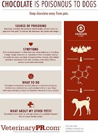 Contact neighborhood pet health center on messenger. How Infographics Boost Veterinary Practices Public Relations And Marketing