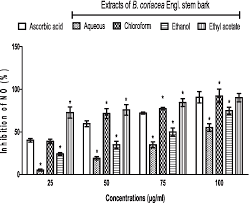 Image result for Buchholzia