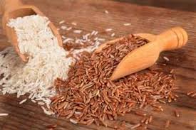 Meskipun begitu, hasil dari efek diet tersebut menghasilkan penurunan berat badan dan meredakan gejala penyakit ginjal. 5 Pilihan Karbohidrat Sehat Yang Melangsingkan Halaman All Kompas Com