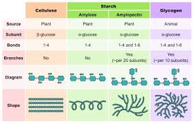 8 Basic Difference Between Cellulose Starch And Glycogen Core Differences